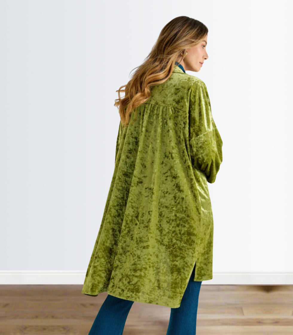 Cruz Velvet Dress