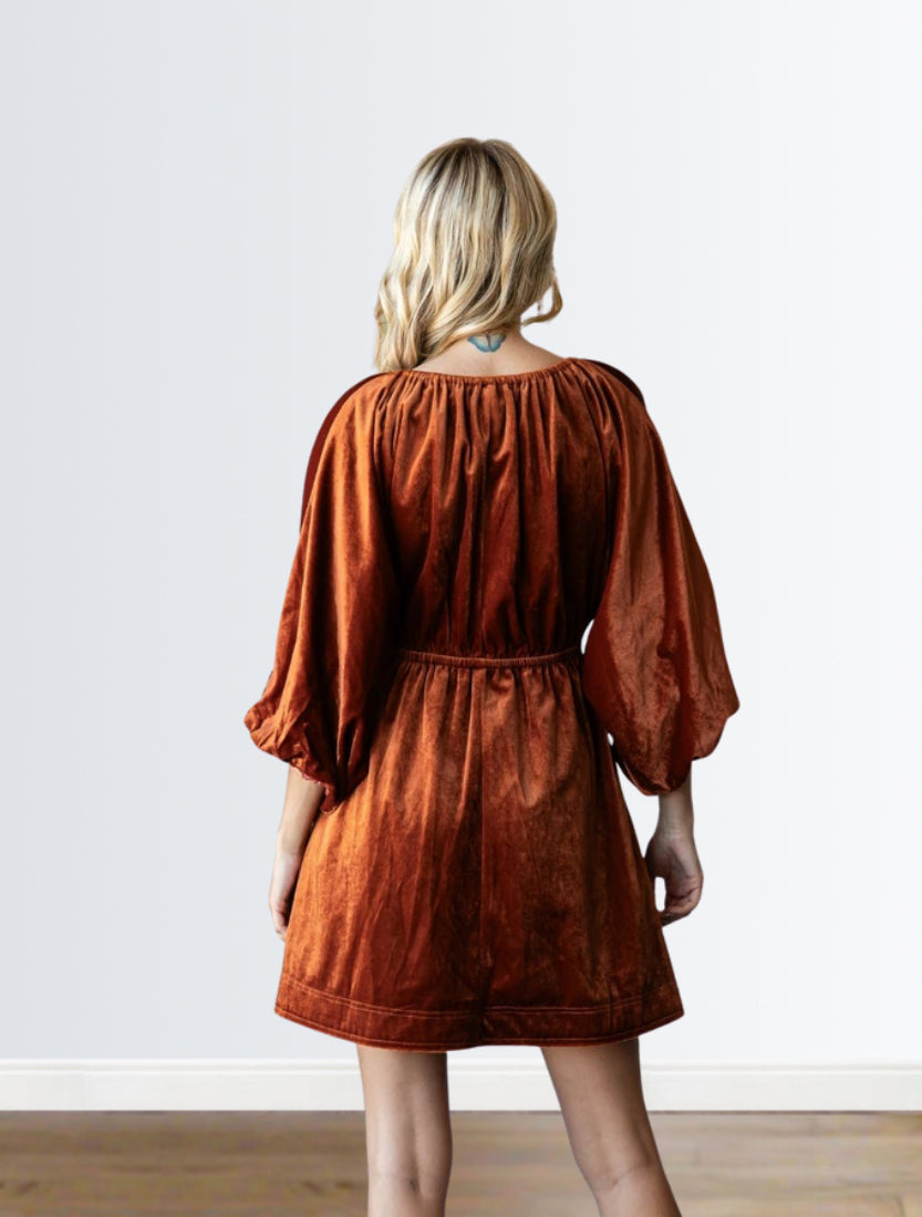 Clay Velvet Dress